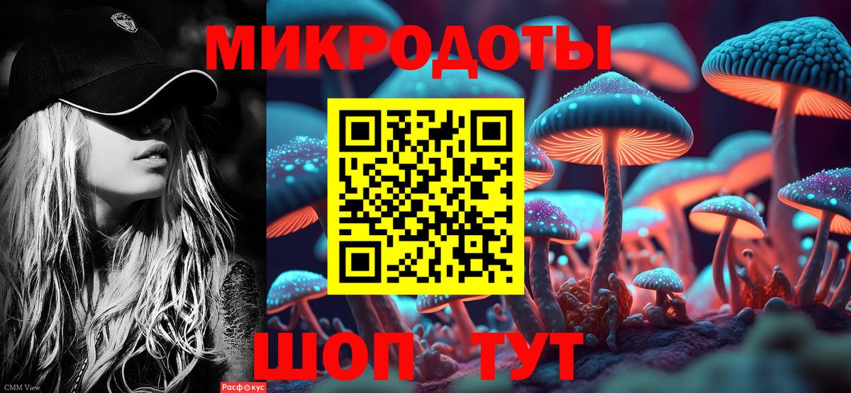 Галлюциногенные грибы Psilocybe Татарск
