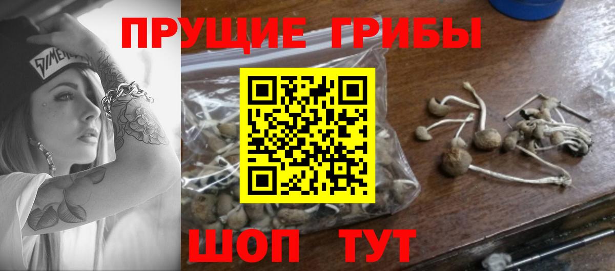 Галлюциногенные грибы мухоморы  Вход с VPN  Татарск 